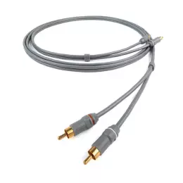 Leyline 2RCA to 2RCA 1m